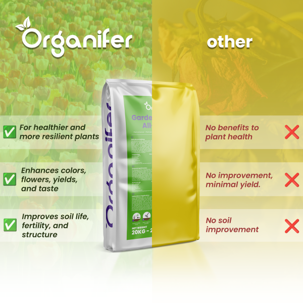 Biochar - Image 7