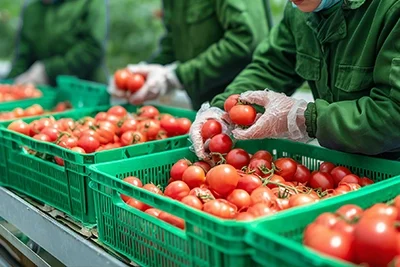 SEI_89824138-ravb75oc25t94kg7i63iep3p7h42rxalkf1bsy4msu