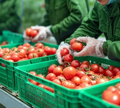 SEI_89824138-ravb75oc25t94kg7i63iep3p7h42rxalkf1bsy4msu