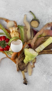 arrangement-compost-made-rotten-food