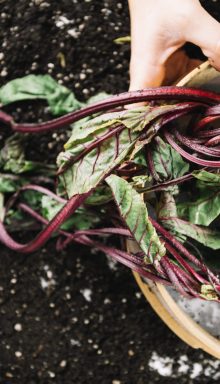 sieve-with-beetroots-hands-woman